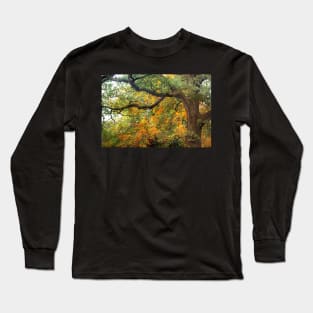 Autumn Warmth Long Sleeve T-Shirt